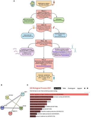 Analysis of mRNA-miRNA-lncRNA differential expression in prediabetes/type 2 diabetes mellitus patients as potential players in insulin resistance